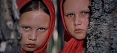 Золотые рога (1972)