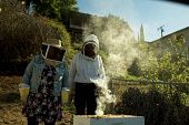 Wild Honey (2017)