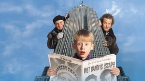 Один дома 2: Затерянный в Нью-Йорке (1992)