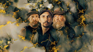 Золотая лихорадка (2010)