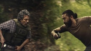 Задание (2025)