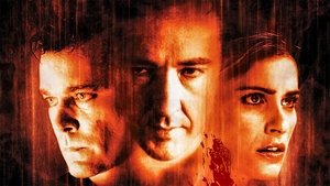 Идентификация (2003)