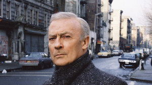 Уравнитель (1985)