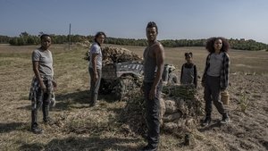 40 Акров (2025)