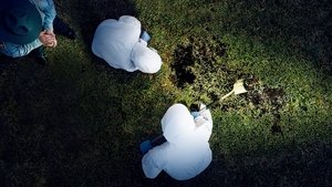 Закопанные на заднем дворе (2018)