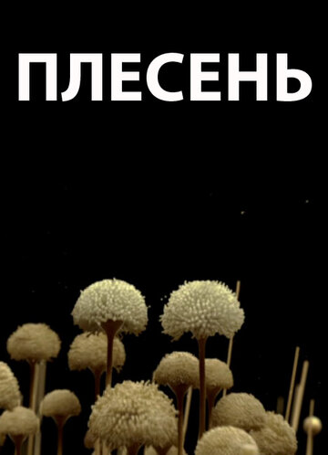 Плесень трейлер (2009)