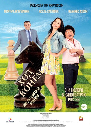 Ход конем (2013)